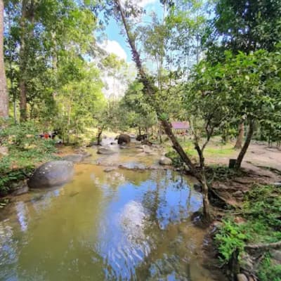 Hutan Lipur Sungai Bantang